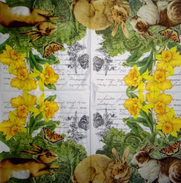 008 Rabbits:  natürlich - 3 ply - Home Fashion